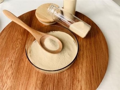 ¿Están los probióticos y postbióticos disponibles en forma vegetariana?